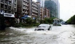 最新台风爆料视频大全集,视频大全集深度解析